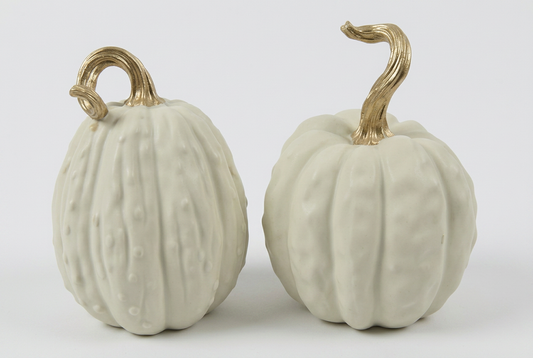 Garden Foggia - Zucca Bianca Picciolo gold Grande Assortita