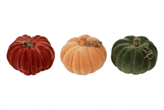 Garden Foggia - Zucca Velvet Assortita Piccola