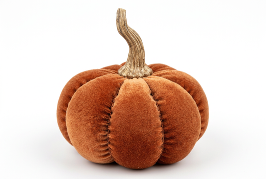 Garden Foggia - Decoro Zucca Arancio Grande