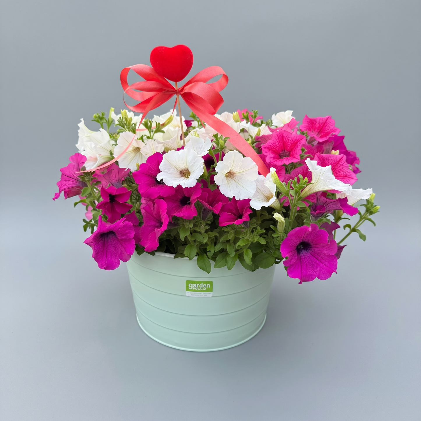 Garden Foggia - Composizione Mix Color For Mom