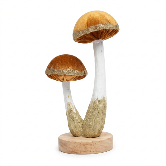 Garden Foggia - Funghi Velluto Ruggine Su Base Legno
