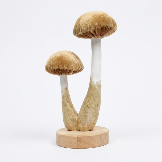 Garden Foggia - Funghi Velluto Beige Su Base Legno