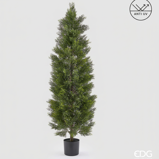 EDG - Pianta Artificiale Cipresso H 180 Cm Verde con Vaso – Anti UV per Interno ed Esterno