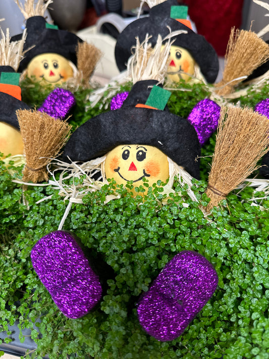 Foggia de jardin - plante d'Halloween