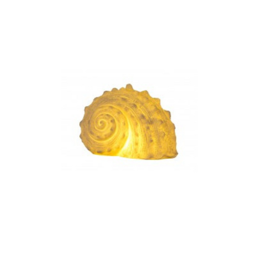 Garden Foggia - Shell Lamp