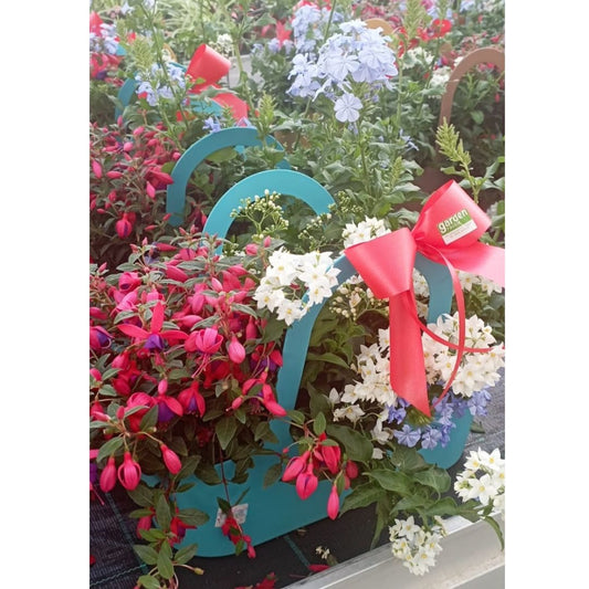 Garden Foggia - Composition In Bag Colored