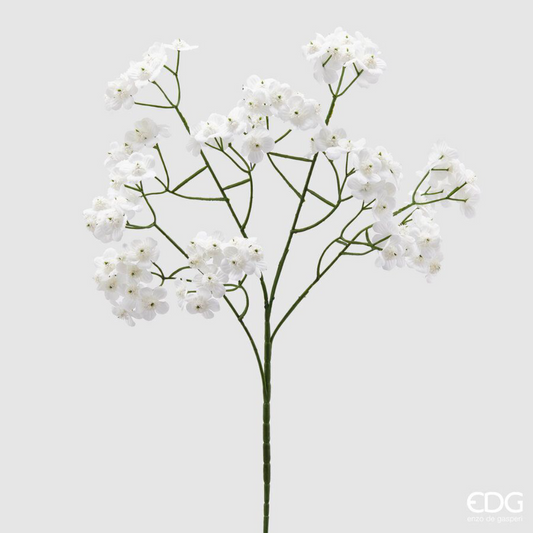 EDG - Ramo Sakura Bianco