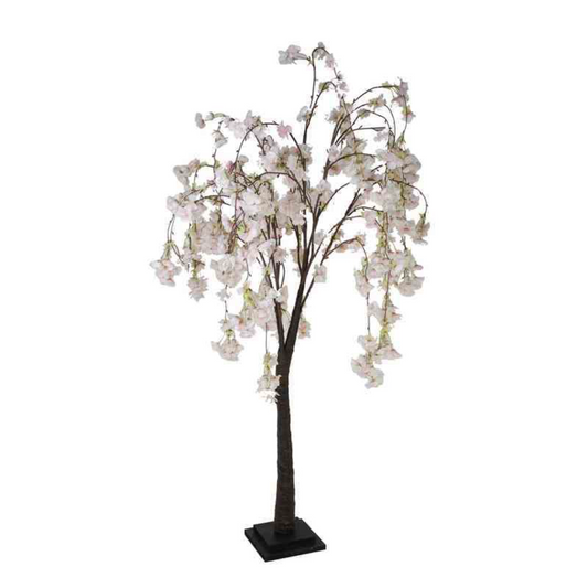Garden Foggia - Cherry White Pink h 120