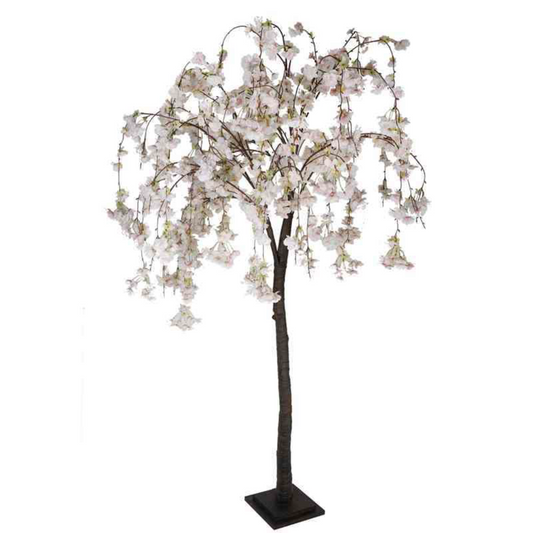 Garden Foggia - Cherry White Pink h 180cm