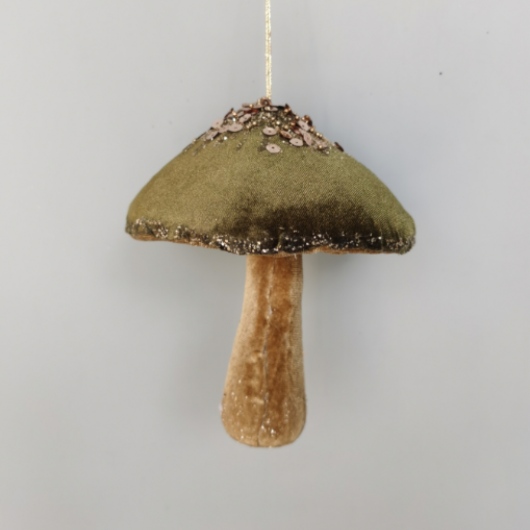 Garden Foggia - Fungo Velluto 17cm