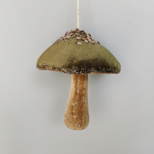 Garden Foggia - Fungo Velluto 17cm