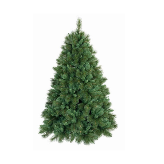 Foggia de jardin - Arbre Gm King 240cm