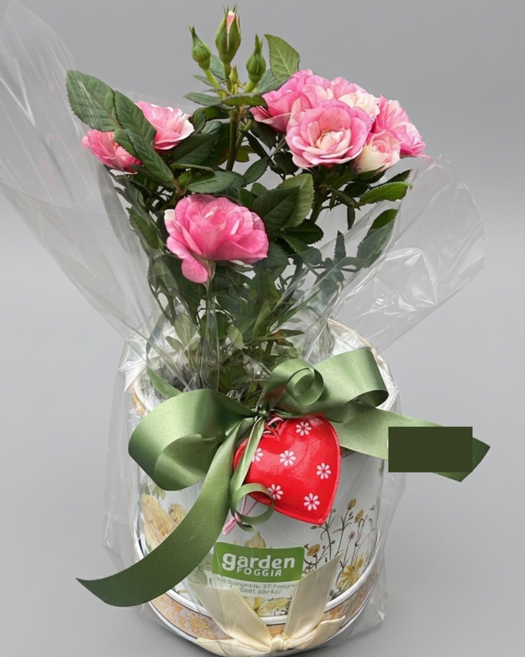 Garden Foggia - Composizione Tazza Flower