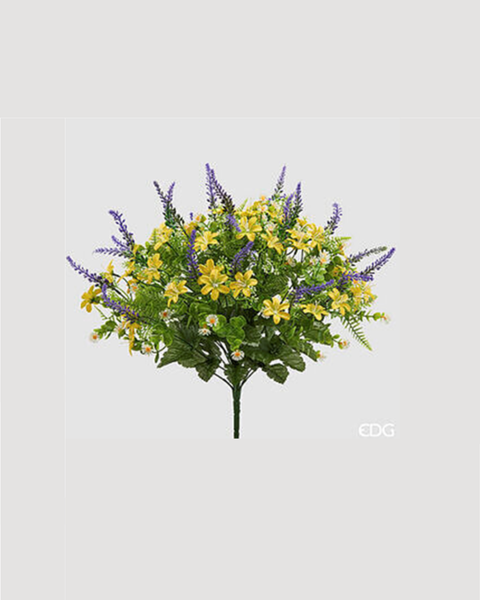 EDG - Cespuglio Lavanda H 50cm