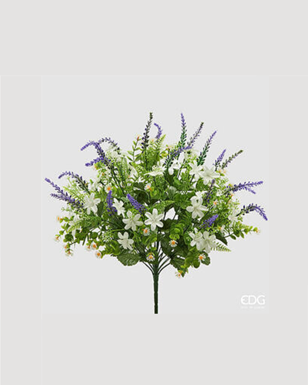 EDG - Cespuglio Lavanda H 50cm