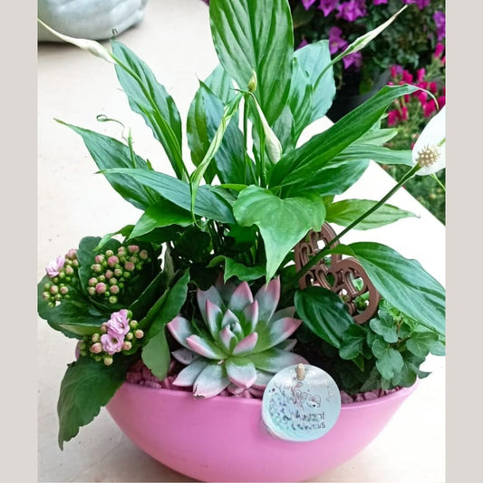 Garden Foggia - Composition Mom you are Special