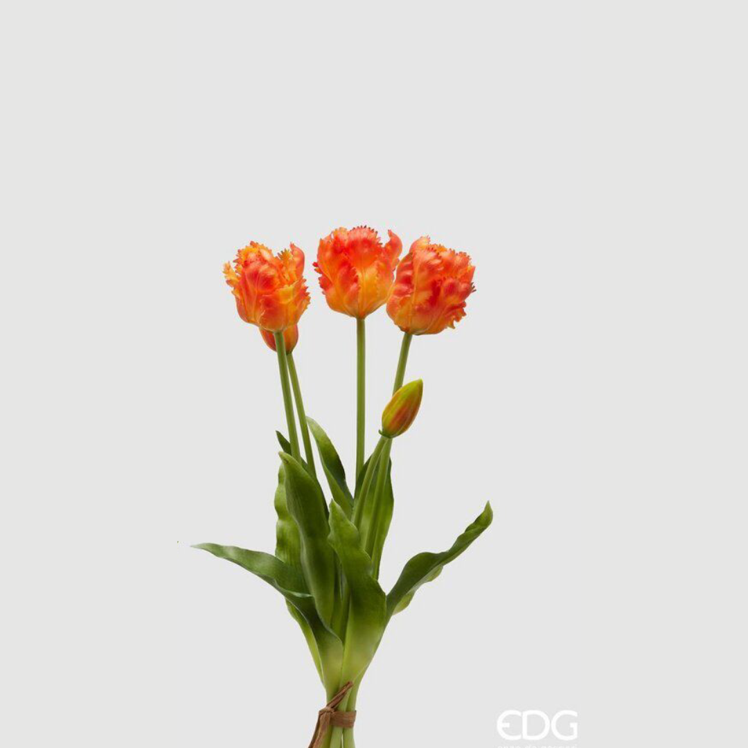 EDG - Mazzo Tulipani Parrot Arancio
