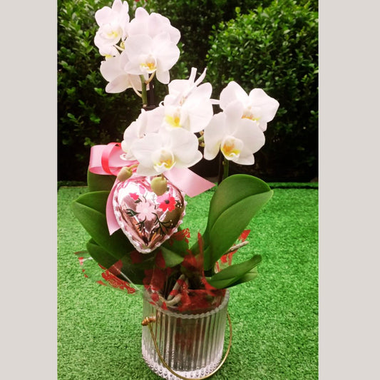 Jardin Foggia - Orchidée Coeur de Maman