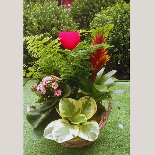 Garden Foggia - Flower Basket Composition