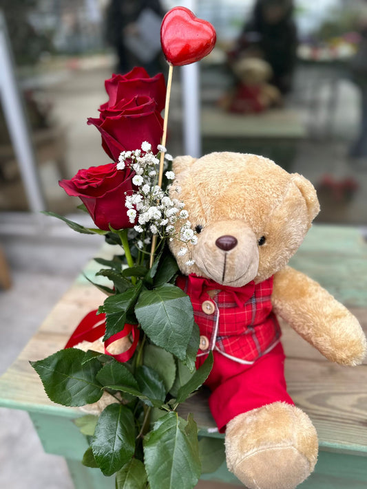 Jardin Foggia - Ours Roses Ours avec roses rouges