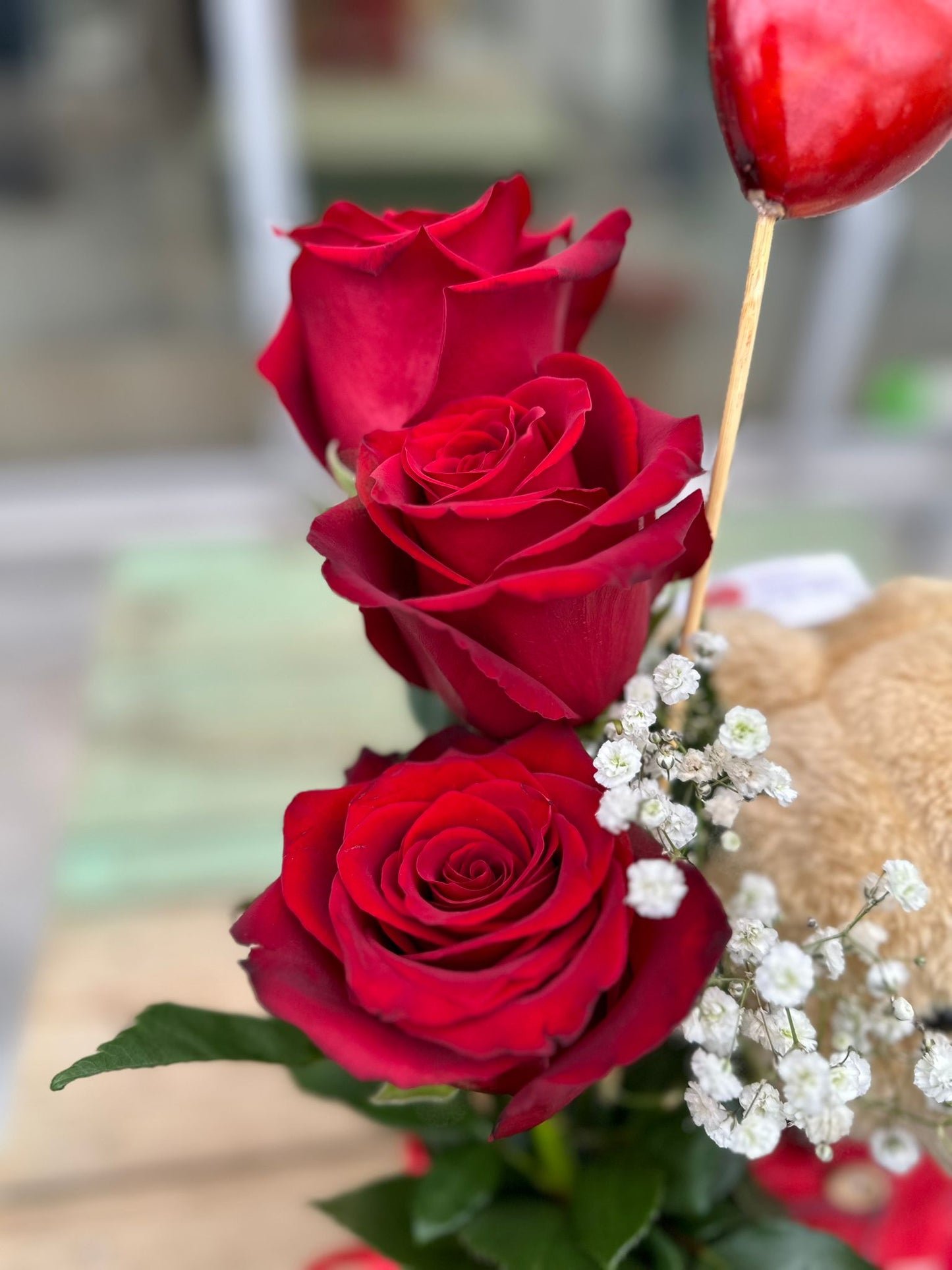 Garden Foggia - Bear Roses Orsetto con Rose Rosse