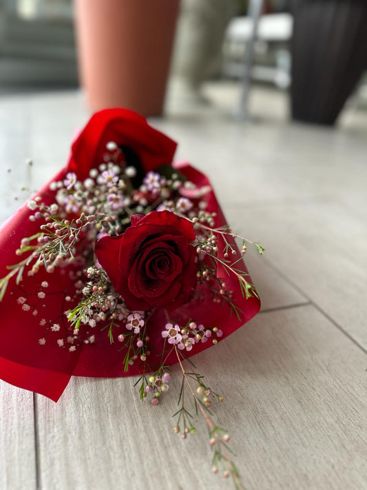 Garden Foggia - Red Rose