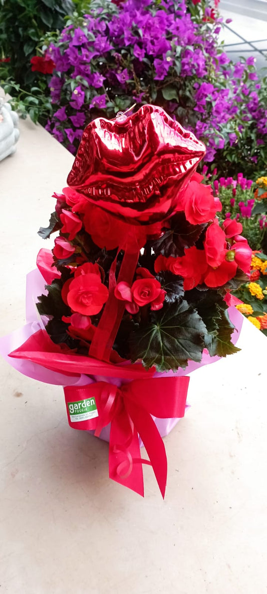 Garden Foggia - A Kiss for Mom