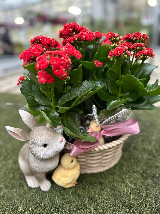 Garden Foggia - Word Of Love Composition