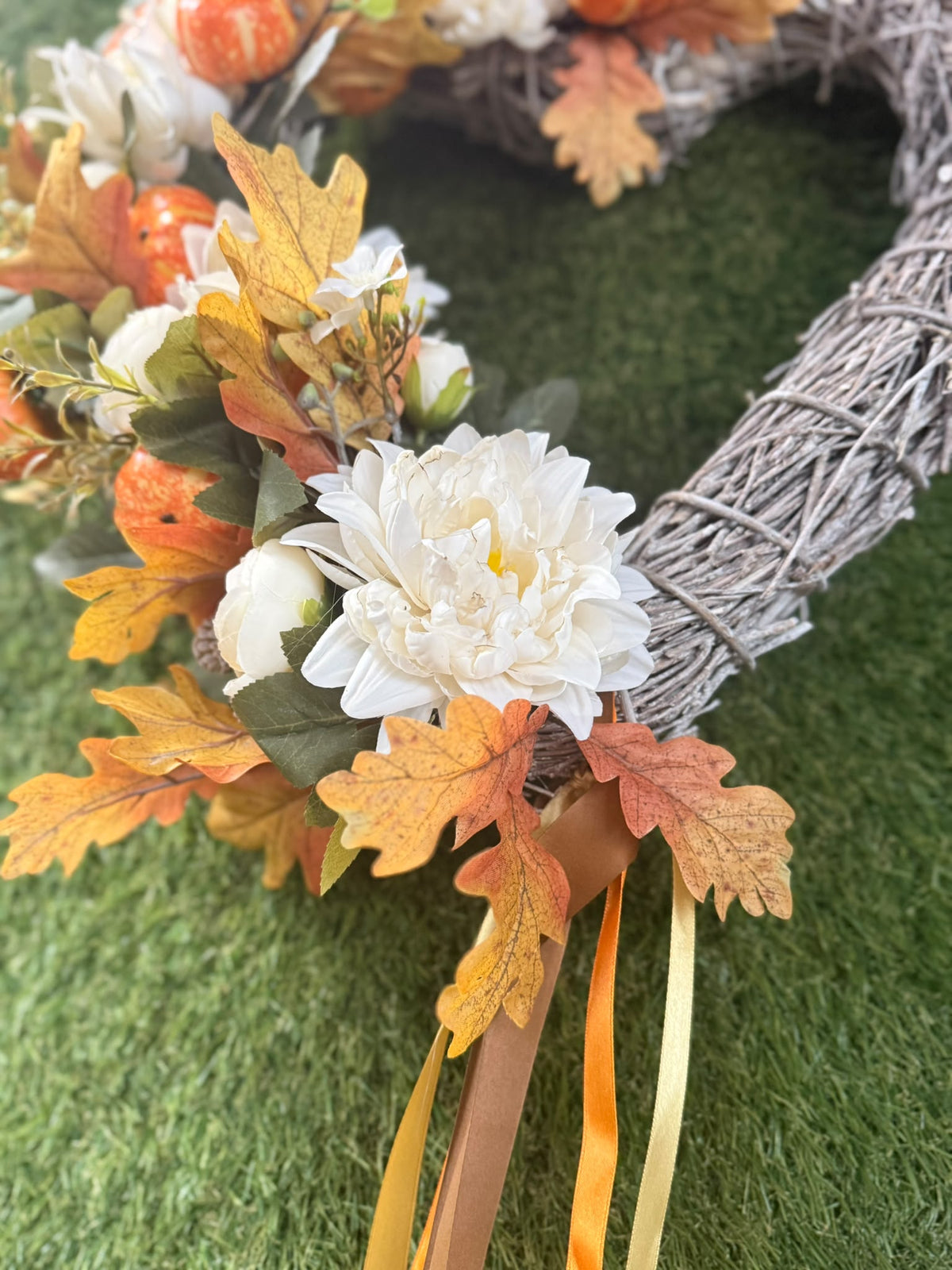 Garden Foggia - Dietroporta autunnale