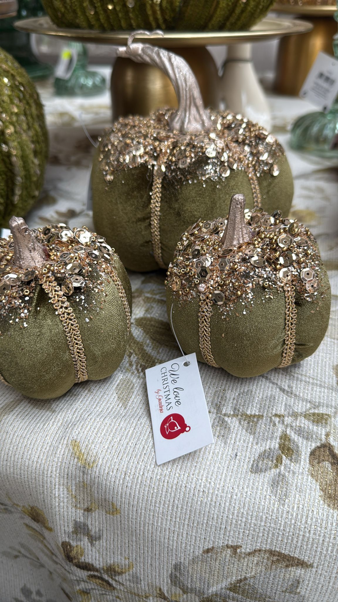 Garden Foggia - Orange Velvet Pumpkin