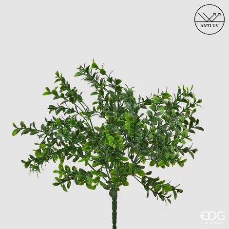 EDG - Ramo Bosso Anti UV H30cm