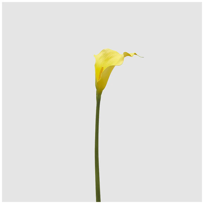EDG - Ramo Calla Artificiale Giallo H 65cm