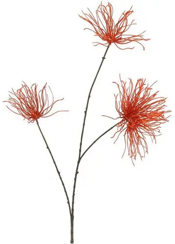 Garden Foggia - Ramo Grevillea arancione h 94cm