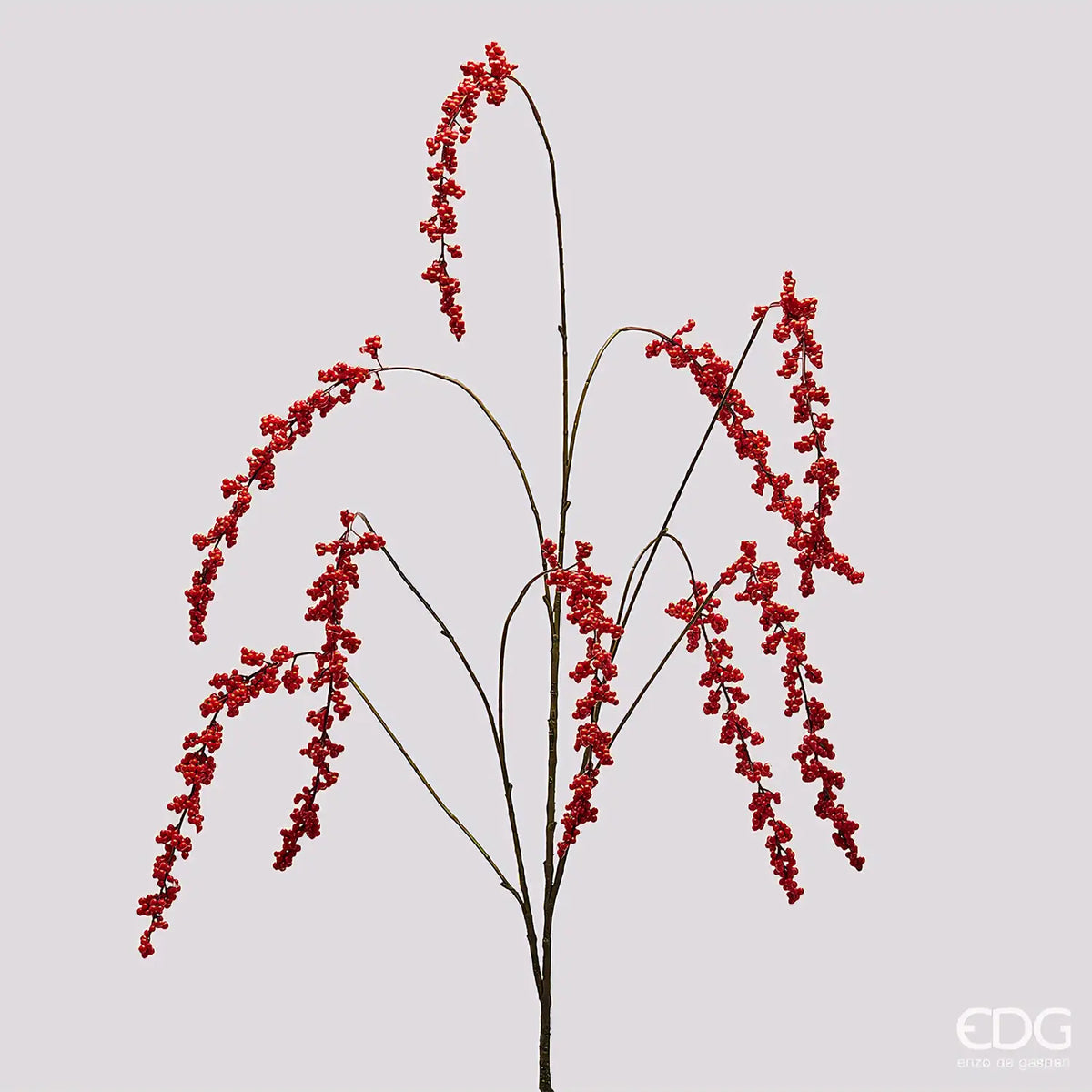 EDG - Ilex Cadente Rosso EDG H 150 cm