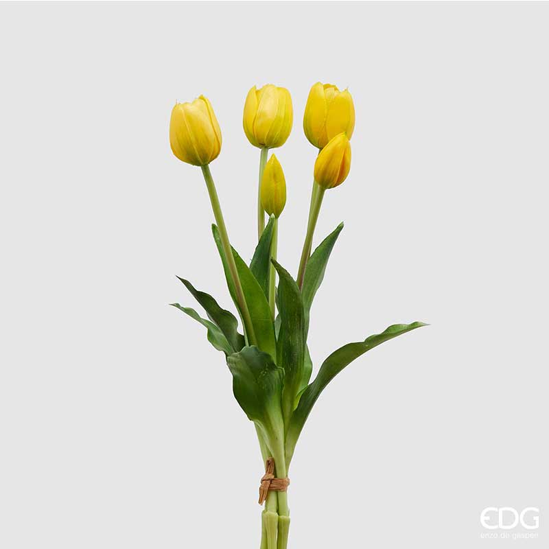 EDG - Mazzo Tulipani Olis H 39 Giallo