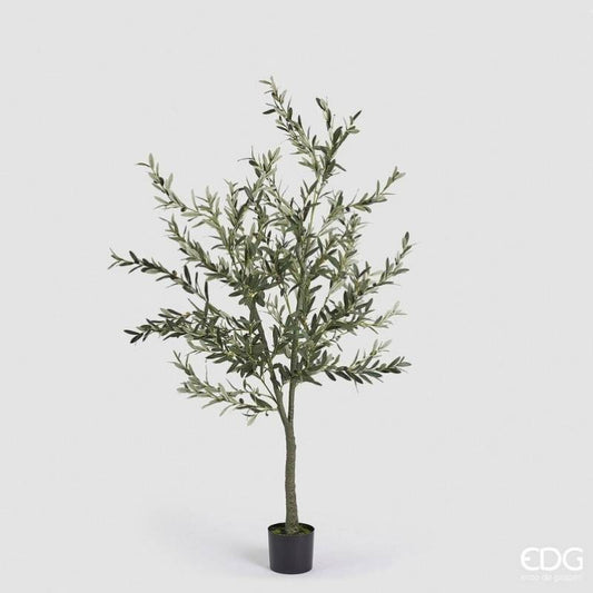 EDG - Olivo Artificiale H 190cm