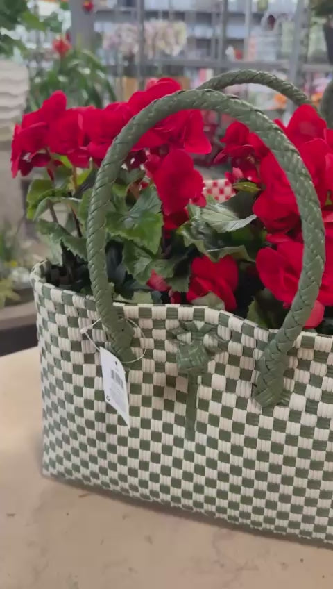 Garden Foggia - Composizione Bag Mamma