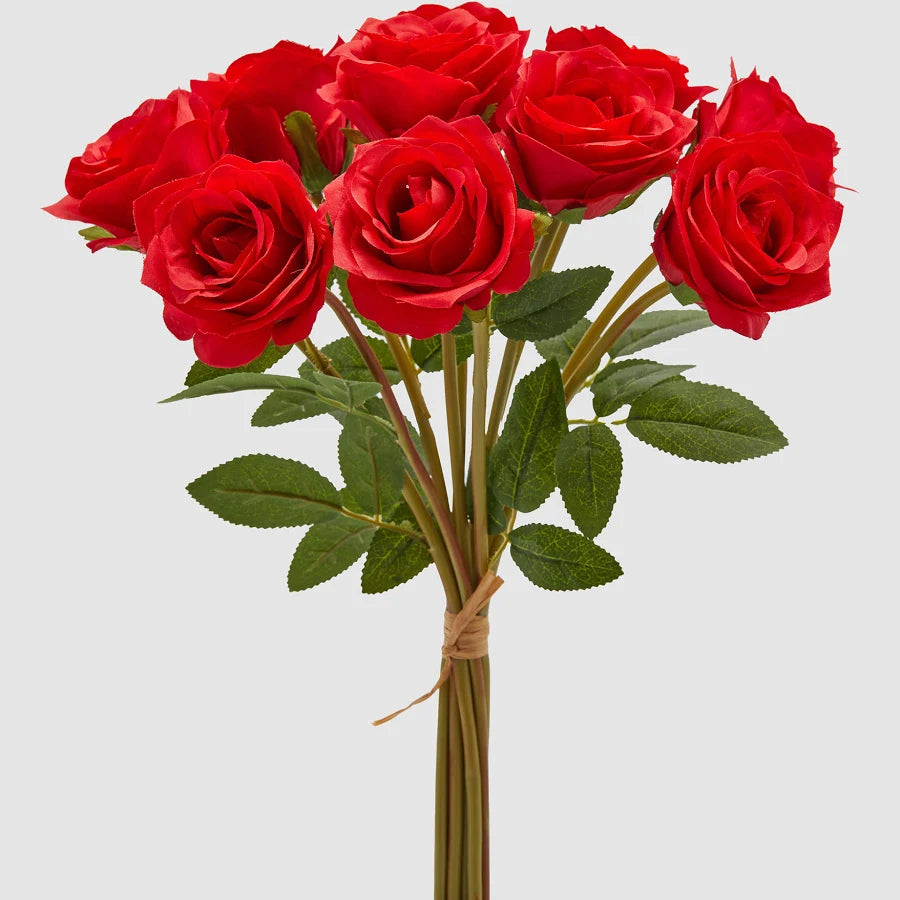EDG - Mazzo 9 Rose Rosse H46