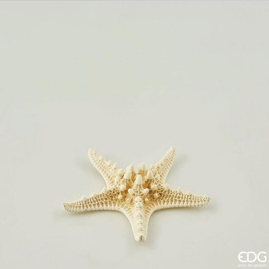 EDG -  Stella marina decorativa – 8 cm