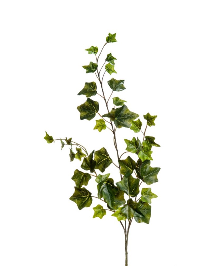 Garden Foggia - Tralcio Edera Cm 69
