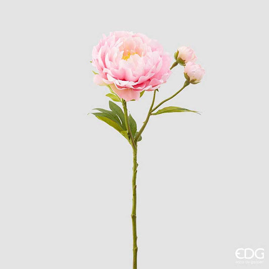 Garden Foggia - Ramo Peonia rosa