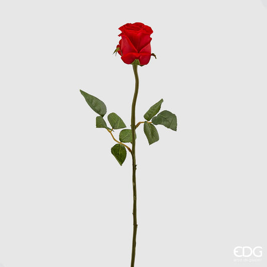 EDG - Ramo Rosa Rossa velluto