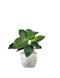 Garden Foggia - Filodendro artificiale in vaso