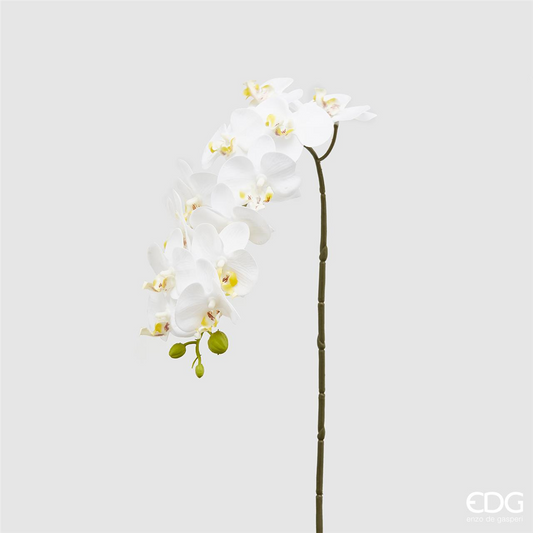 EDG - Ramo orchidea bianco