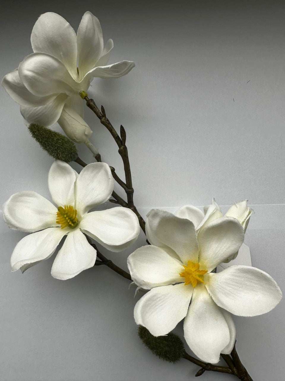 EDG - Ramo artificiale Magnolia olis H 38